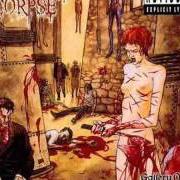 The lyrics FROM SKIN TO LIQUID of CANNIBAL CORPSE is also present in the album Gallery of suicide (1998)