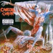 The lyrics HAMMER SMASHED FACE of CANNIBAL CORPSE is also present in the album Hammer smashed face (1993)
