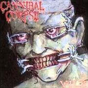 The lyrics PERVERSE SUFFERING of CANNIBAL CORPSE is also present in the album Vile (1996)