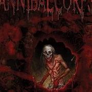 The lyrics SARCOPHAGIC FRENZY of CANNIBAL CORPSE is also present in the album Torture (2012)