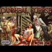 The lyrics DECENCY DEFIED of CANNIBAL CORPSE is also present in the album The wretched spawn (2004)