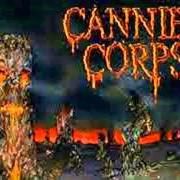 The lyrics BLOODSTAINED CEMENT of CANNIBAL CORPSE is also present in the album A skeletal domain (2014)