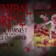 The lyrics INHUMANE HARVEST of CANNIBAL CORPSE is also present in the album Violence unimagined (2021)