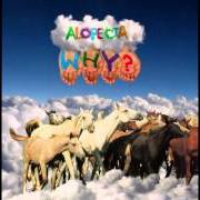 The lyrics TWENTY-EIGHT of WHY? is also present in the album Alopecia (2008)