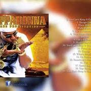 The lyrics ROLE OF YA LIFETIME of CAPPADONNA is also present in the album The struggle (2003)