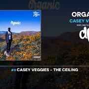 The lyrics NO FAVORS of CASEY VEGGIES is also present in the album Organic (2019)