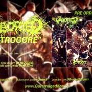 The lyrics BIT BY BIT of ABORTED is also present in the album Retrogore (2016)