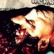 The lyrics BLOOD SPATTERED BANNER of CARCASS is also present in the album Wake up and smell the... carcass (1996)