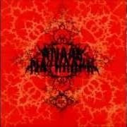 The lyrics TIMEWAVE ZERO of ANAAL NATHRAKH is also present in the album Eschaton (2006)