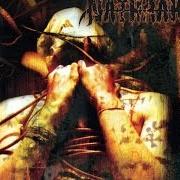 The lyrics HUMAN, ALL TOO FUCKING HUMAN of ANAAL NATHRAKH is also present in the album The codex necro (2001)