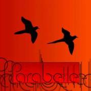 The lyrics ARE YOU ALARMED? of PARABELLE is also present in the album A summit borderline/a drop oceanic (2009)