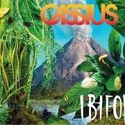The lyrics HEY YOU! of CASSIUS is also present in the album Ibifornia (2016)
