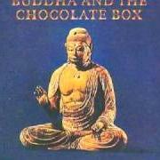 The lyrics KING OF TREES of CAT STEVENS is also present in the album Buddha and the chocolate box (1974)