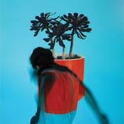 The lyrics EVERYTHING ALL AT ONCE of LOCAL NATIVES is also present in the album Sunlit youth (2016)