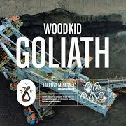 The lyrics GOLIATH of WOODKID is also present in the album S16 (2020)