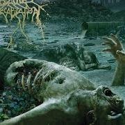 The lyrics REGRET & THE GRAVE of CATTLE DECAPITATION is also present in the album The anthropocene extinction (2015)