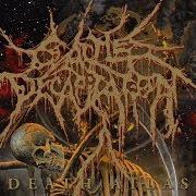 The lyrics THE GREAT DYING II of CATTLE DECAPITATION is also present in the album Death atlas (2019)
