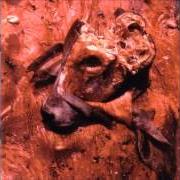 The lyrics FLESH-EATING DISEASE (FLU-LIKE SYMPTOMES OF E-COLI WITH COMPLETE DIGESTIVE SHUT-DOWN) of CATTLE DECAPITATION is also present in the album Human jerky (1999)
