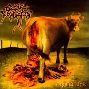 The lyrics CLOACULA: THE ANTHROPOPHABIC COPROMANTIK of CATTLE DECAPITATION is also present in the album Humanure (2004)