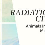 The lyrics WASH OF NOISE of RADIATION CITY is also present in the album Animals in the median (2013)