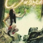 The lyrics SYMPOSIUM of FEUERSCHWANZ is also present in the album Wunsch ist wunsch (2011)