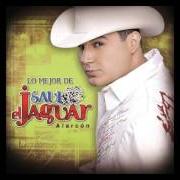 The lyrics EL CORRIDO DE CHIHUAHUA of SAÚL EL JAGUAR ALARCÓN is also present in the album Un sueño (2009)