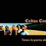 The lyrics ODIO AL ODIO of CELTAS CORTOS is also present in the album Tienes la puerta abierta (1999)