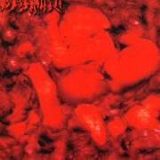 The lyrics EX-FEMININE PROMISCUOUS MASCULINE'S SOLIDIFIED CLITORIS SWALLOWED BY VERMINS IN COFFINS of CENOTAPH is also present in the album Puked genital purulency (1999)