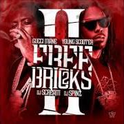 The lyrics ANOTHER NIGGA BITCH WIT ME of YOUNG SCOOTER is also present in the album Free bricks 2 (2013)