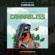 The lyrics BLAZIN' WIT THE BOYS of ERIC BELLINGER is also present in the album Canabliss (2017)