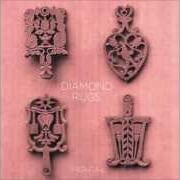 The lyrics I TOOK NOTE of DIAMOND RUGS is also present in the album Diamond rugs (2012)