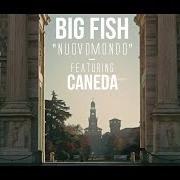 The lyrics LUCE SARÀ of BIG FISH is also present in the album Niente di personale (2013)
