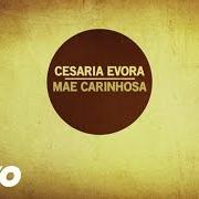 The lyrics DOR DI SODADE of CESARIA EVORA is also present in the album Mãe carinhosa (2013)
