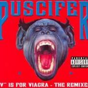 The lyrics VAGINA MINE of PUSCIFER is also present in the album V is for vagina (2007)