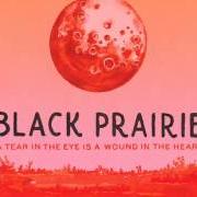The lyrics DIRTY RIVER STOMP of BLACK PRAIRIE is also present in the album A tear in the eye is a wound in the heart (2012)