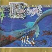 The lyrics SICKENING SONG of RHEOSTATICS is also present in the album Whale music (2013)