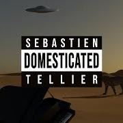 The lyrics OUI of SÉBASTIEN TELLIER is also present in the album Domesticated (2020)