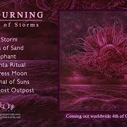 The lyrics BLACK STORM of IN MOURNING is also present in the album Garden of storms (2019)