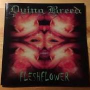 The lyrics FLESHFLOWER of DYING BREED is also present in the album Fleshflower (2000)