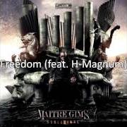 The lyrics FREEDOM of MAÎTRE GIMS is also present in the album Subliminal la face cachée (2013)