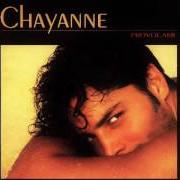 The lyrics EL ARTE DE AMAR of CHAYANNE is also present in the album Provocame (1992)