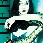 The lyrics ANGELS RUNNING of CHER is also present in the album It's a man's world (1995)