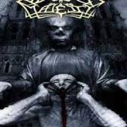The lyrics RAVENS BROUGHT THEM VICTORY of ABUSED MAJESTY is also present in the album Serpenthrone (2004)