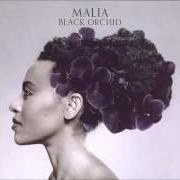 The lyrics DON'T EXPLAIN of MALIA is also present in the album Black orchid (2012)