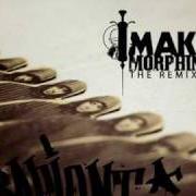 The lyrics AY AY AY (SIMPLE REMIX of SAPIENT is also present in the album Make morphine - the remixes (2009)