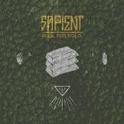 The lyrics THE PUSH of SAPIENT is also present in the album Fool for gold (2016)