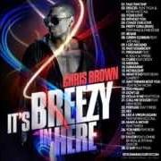 The lyrics UMBRELLA (CINDERELLA REMIX) of CHRIS BROWN is also present in the album The mixtape: the ish u aint heard (2007)