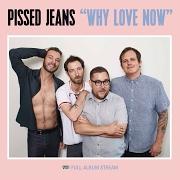 The lyrics WORLDWIDE MARINE ASSET FINANCIAL ANALYST of PISSED JEANS is also present in the album Why love now (2017)