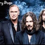 Winery dogs