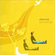 The lyrics THE BEST SONG EVER of CHRIS RICE is also present in the album Amusing (2006)